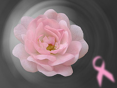 October is Breast Cancer Awareness Month by jacilluch, on Flickr