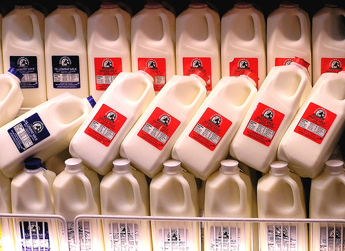 milk by Muffet, on Flickr